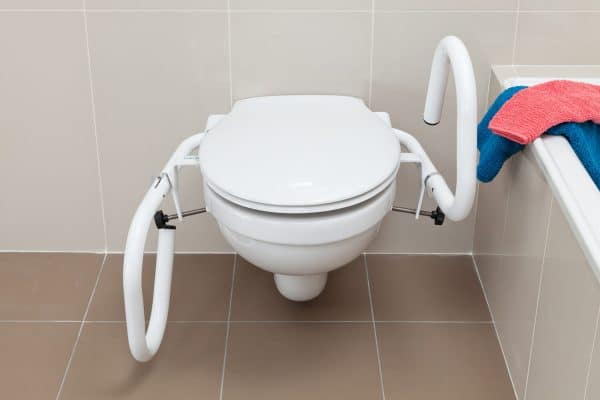 Throne Toilet Grab Rail