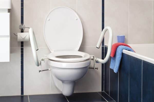 Throne Toilet Grab Rail