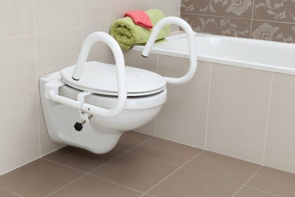 Throne Toilet Grab Rail